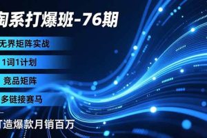 （16914期）淘系打爆班-76期，无界矩阵实战，1词1计划、竞品矩阵、多链接赛马，打造爆款月销百万