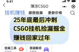 （16735期）12月年底抓紧最后一个月，用CSGO游戏挂机捡漏掘金赚钱掘金，一部手机轻松日入500+