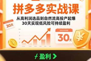 （15586期）拼多多实战课：从高利润选品到自然流高投产起爆 30天实现低风险可持续盈利