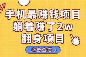 （14539期）暴利项目，手机一键代发视频被动收入1000+，零成本做老板长期管道收益！
