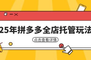 （14222期）25年拼多多全店托管玩法，矩阵动销裂变玩法如何低风险盈利 新手运营秘籍