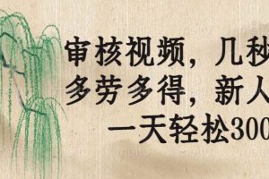 （14203期）审核视频，几秒一单，多劳多得，新人小白一天轻松300+